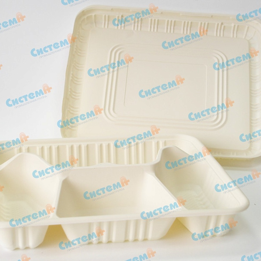 Контейнер из биоразлагаемого материала Контейнер из биоразлагаемого материала